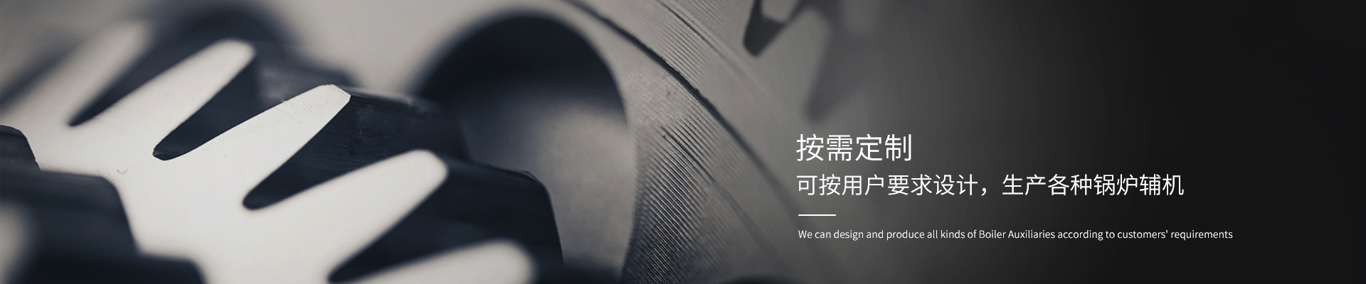 鏈條爐排 鏈條爐排